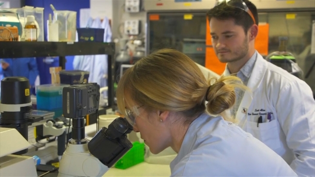 Türkiye’de tüketiciler ve kasaplar yapay ete ‘sıcak’ bakmıyor